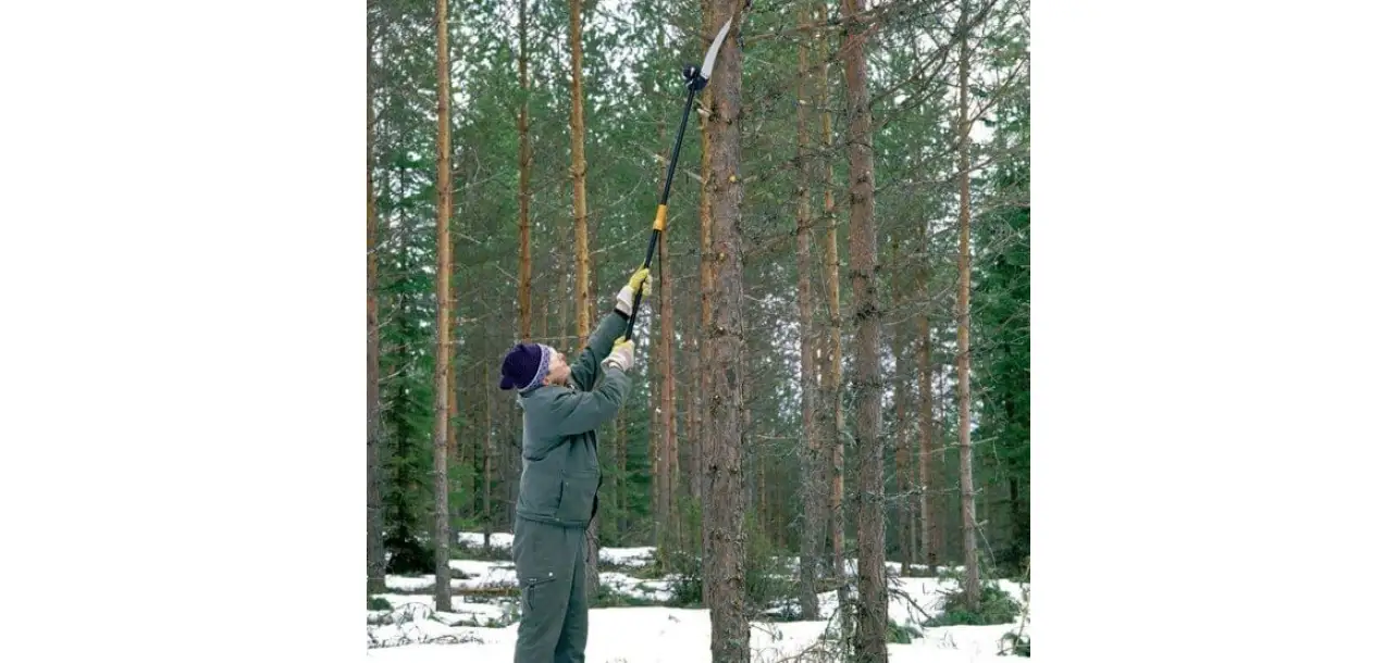 Фотография товара №2