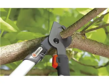 Фотография товара №2