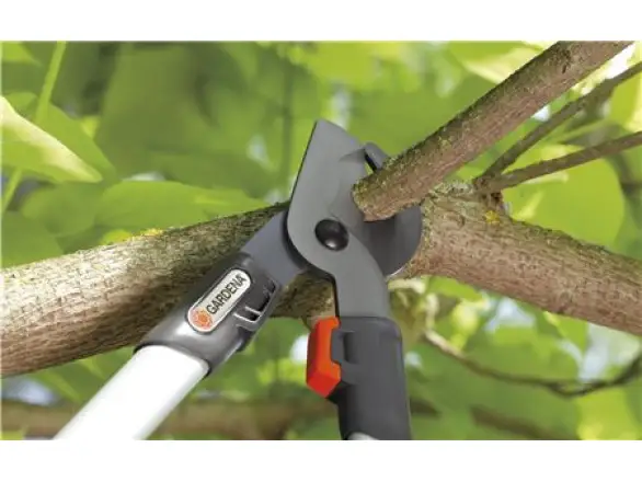 Фотография товара №2