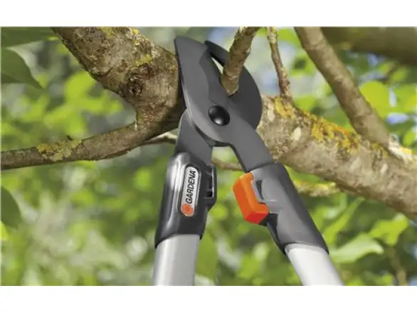 Фотография товара №4